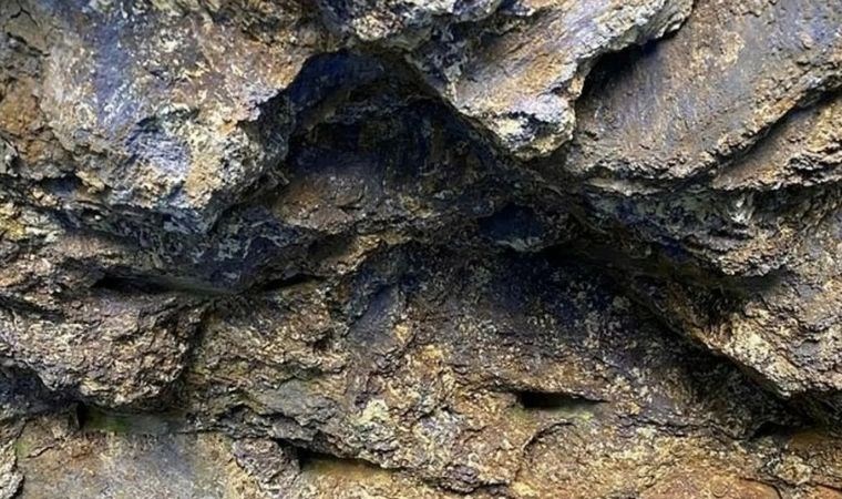 Nadir toprak elementi nedir? Nadir toprak elementi hangi alanlarda kullanılır?