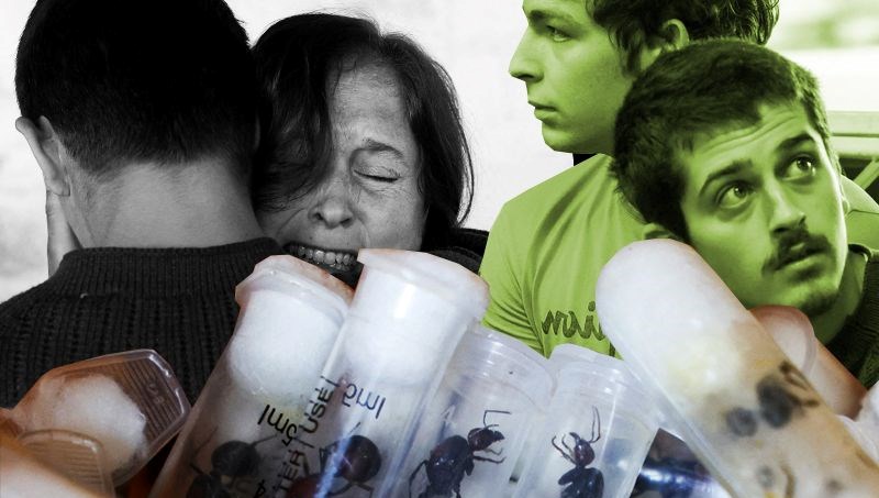 5 bin kraliçe karıncayla yakalanan 4 gence “biyolojik korsanlık” cezası