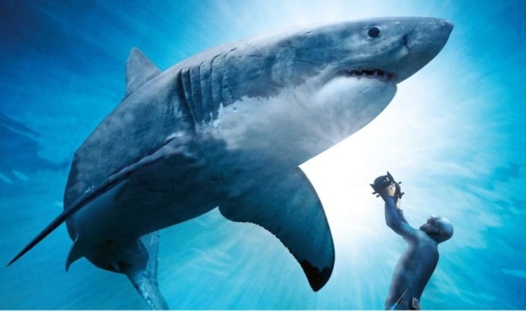 Büyük Beyaz filminin konusu ne? Büyük Beyaz filminin oyuncuları kim?