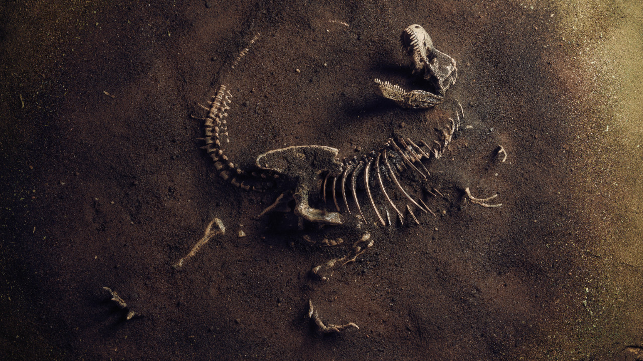 Dinozorlar da kanser oluyor muydu?