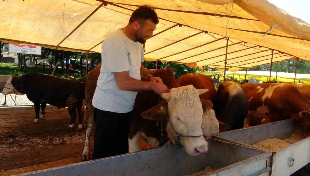 81 ile acil kodlu yazı: Tüm hayvan pazarları kapatıldı