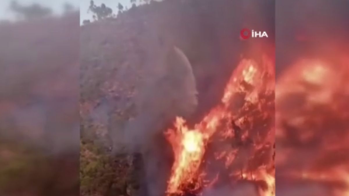 Portekiz’de 3 büyük orman yangınına müdahale sürüyor
