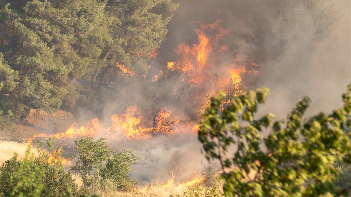 Sakarya’da orman yangını paniği: 2 mahalle tahliye edildi