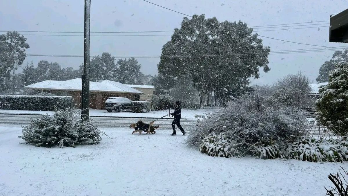 Avustralya son 45 yılın en sert kışını yaşıyor