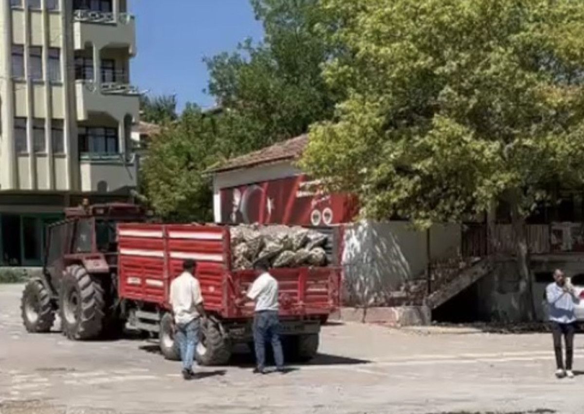 CHP’li İlçe Başkanı, çuvallar dolusu patatesi köy meydanına döktü: Bakanlık konuyu takibe aldı
