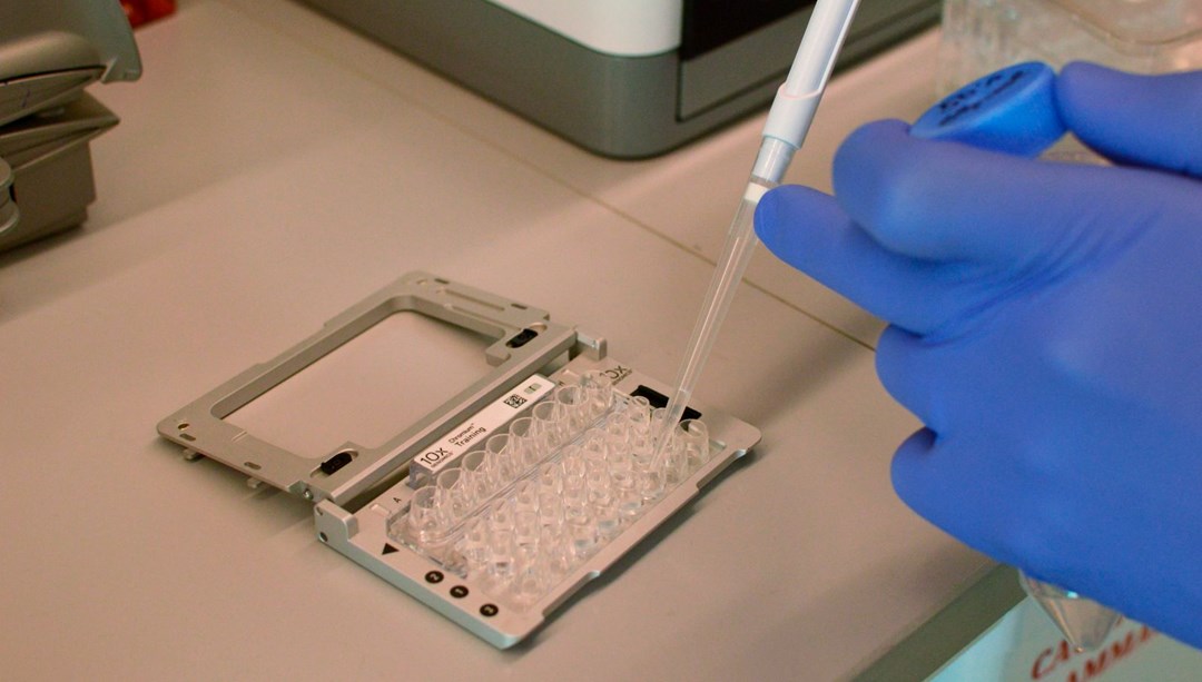 Genetikte devrim: Bilim insanları, DNA’yı sıfırlayan teknoloji geliştirdi