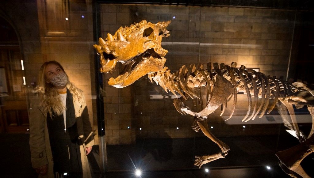 108 milyon yıllık dinozor! Bugüne kadarki en eski fosil keşfedildi