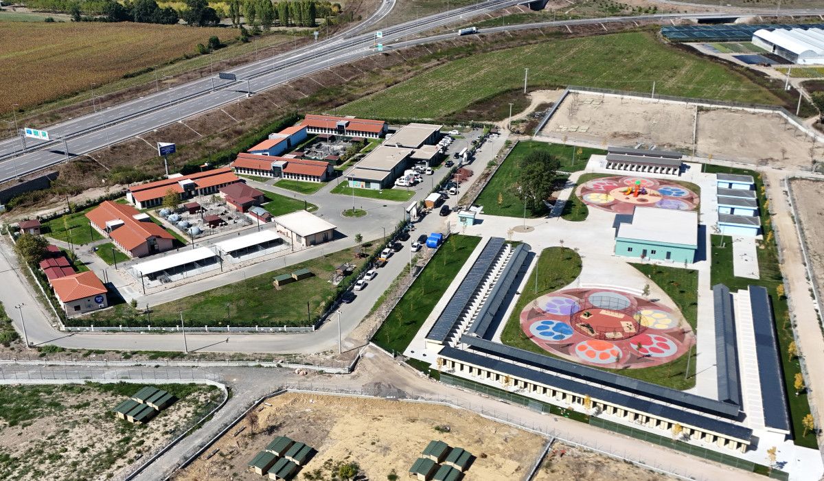 Sokak hayvanları sorununa ilk ve örnek adım Sakarya’dan: Başkan Yusuf Alemdar detayları paylaştı