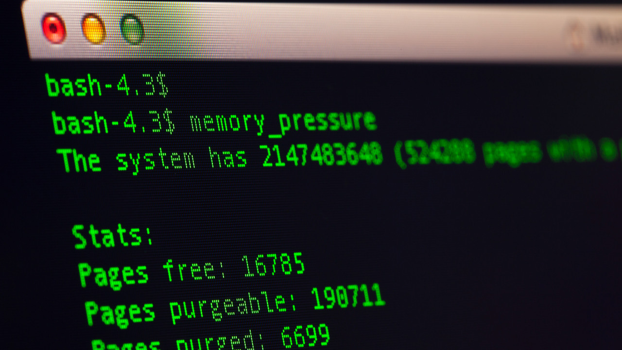 52 yıldır kayıp olan “yazılım hazinesi” depo temizliğinde ortaya çıktı