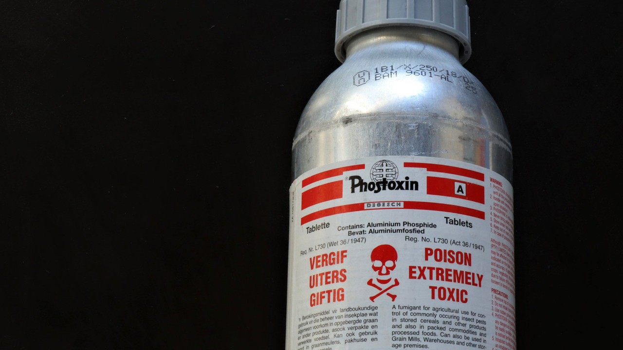 Böcek ailesinin ölümündeki baş şüpheli: Alüminyum fosfit nedir?