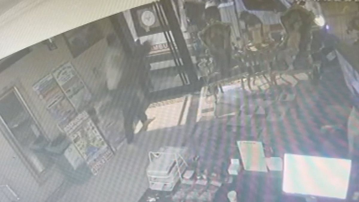 Böcek Ailesi’nin otelde kilitli kaldığı anlar