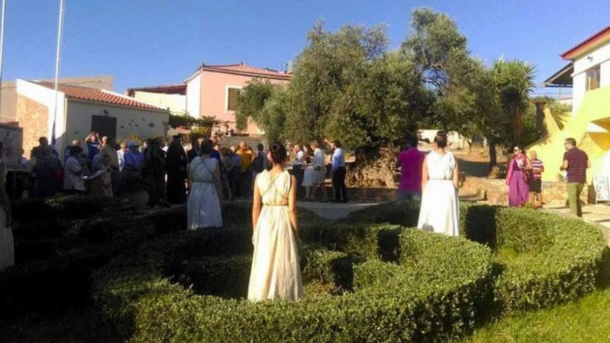 Dünyanın en eski zeytin ağacı: 4000 yıllık ağaç hala meyve veriyor, gören inanamıyor