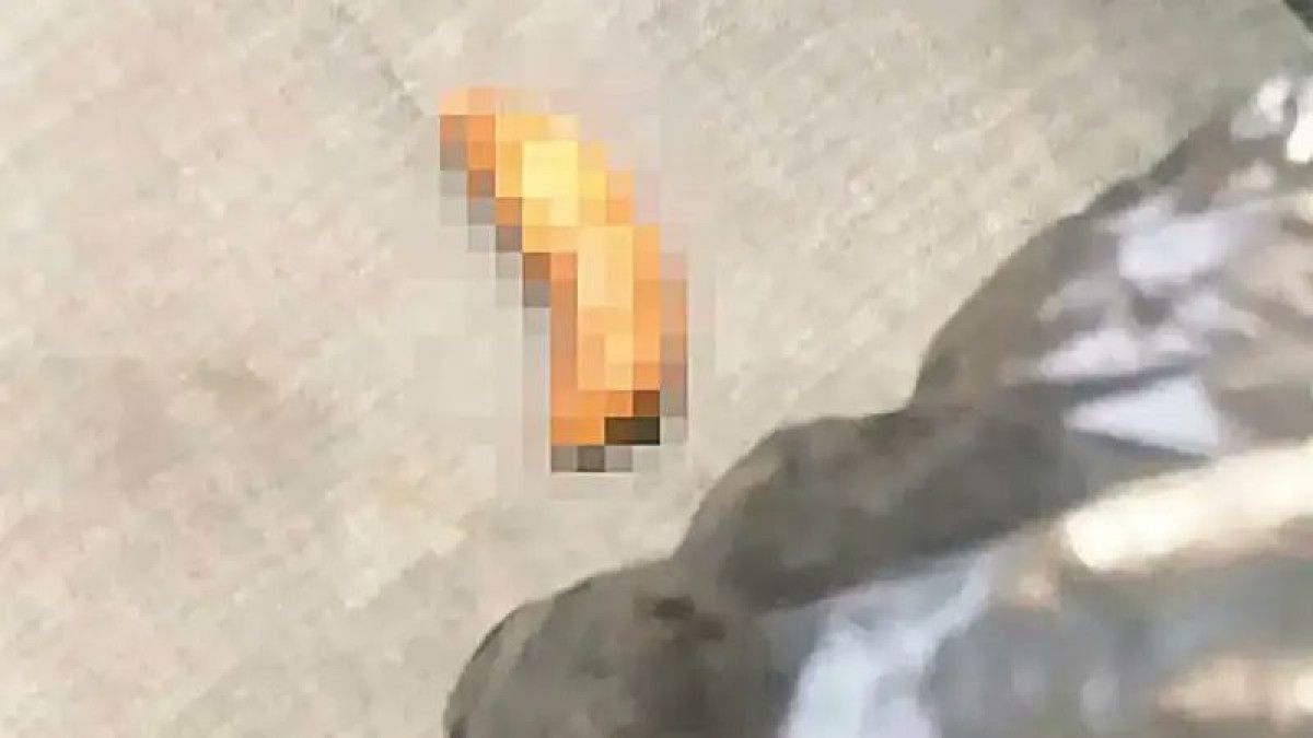 Gürsel Tekin önderliğinde CHP’de dışkı temizliği yapıldı