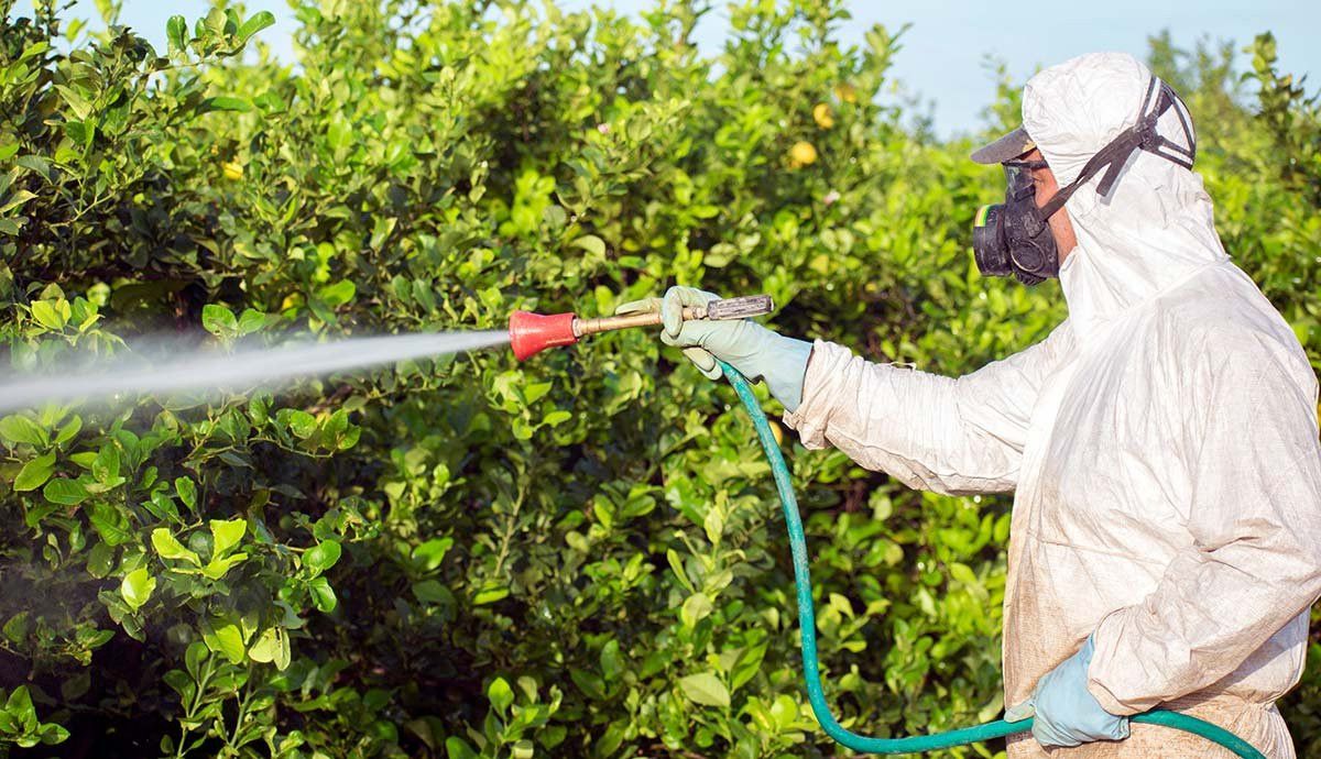 İbrahim Yumaklı: Zirai ilaçlar reçete ile alınacak